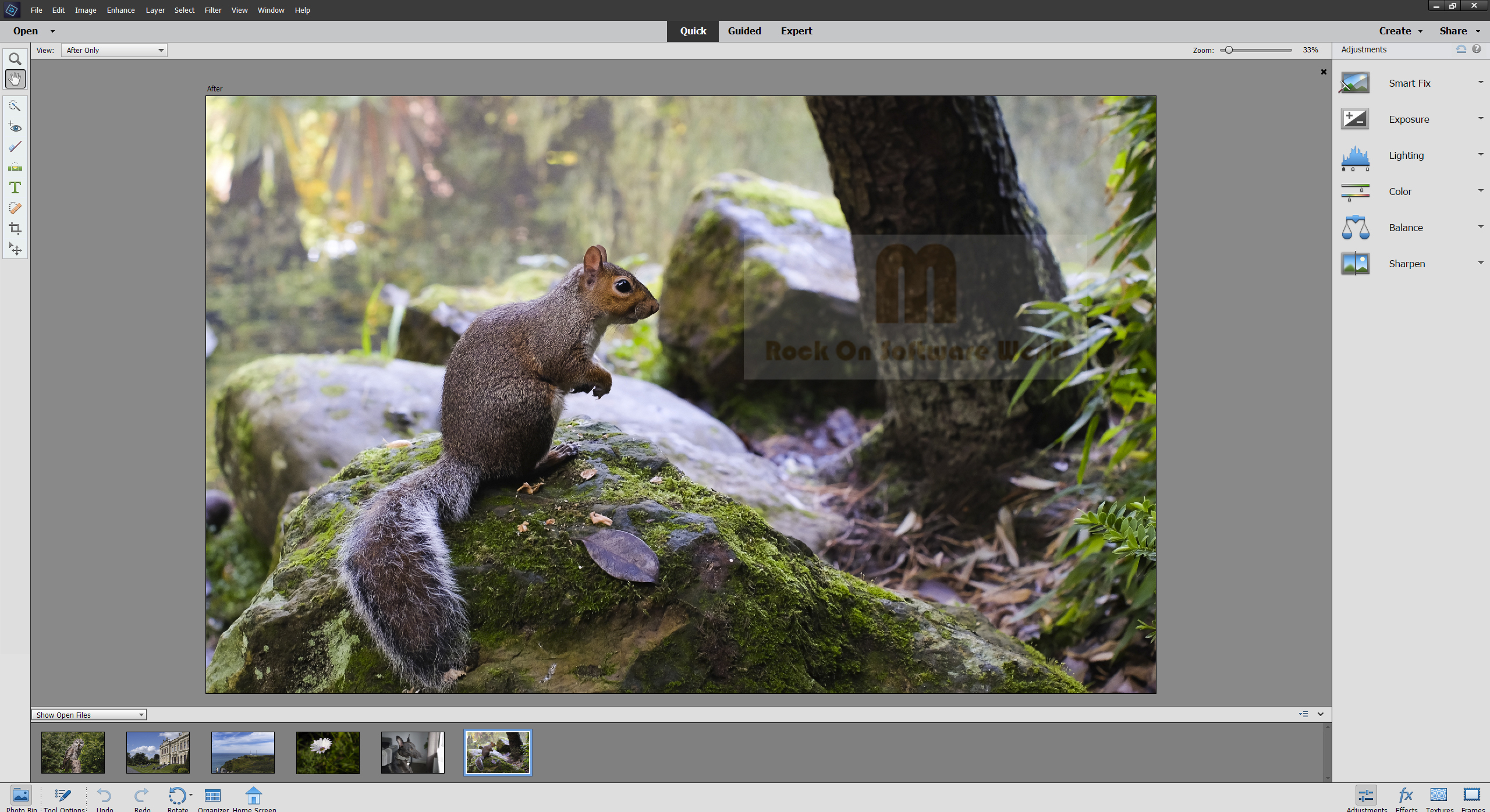 Adobe photoshop elements 10 mac download free